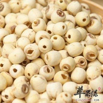 莲子的养生食谱有哪些