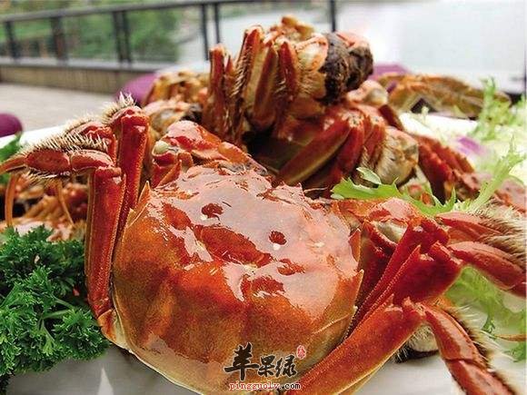 哪些人群不能够吃大闸蟹呢