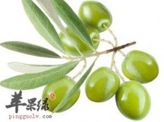 橄榄的保健功效到底