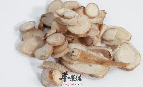 女性在经期能不能食用白芍