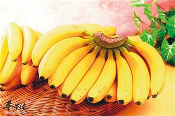 香蕉2.jpg