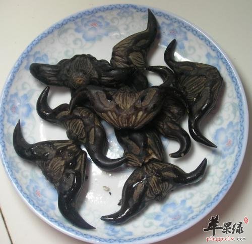 菱角作为水果生食,能 清热生津 消暑解热 除烦止渴;熟食能益气健脾