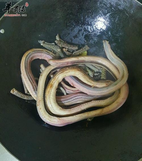 帮助我们补充各种营养物质的哦,另外,水蛇肉的保健功效也是非常不错的