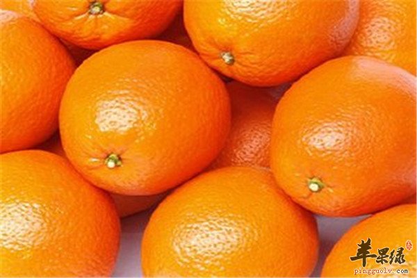 柑橘.jpg