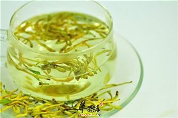 金银花茶2.jpg