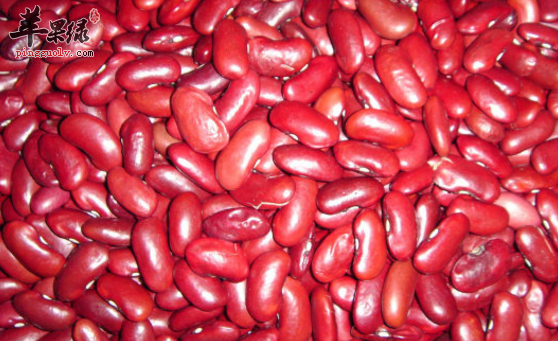红腰豆的营养与食用方法讲解
