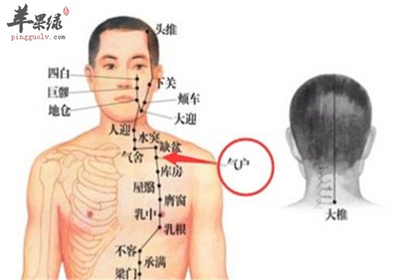 气户穴有什么作用和功效