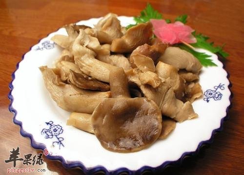 鲍鱼菇的营养成分和保健功效