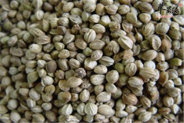 火麻仁的主要成分和功效