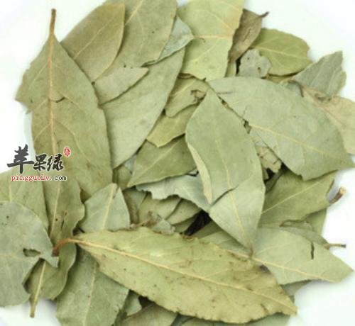孕妇是否可以吃香叶 有哪些要注意
