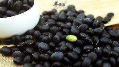 黑豆可以经常吃吗 推荐黑豆的吃法