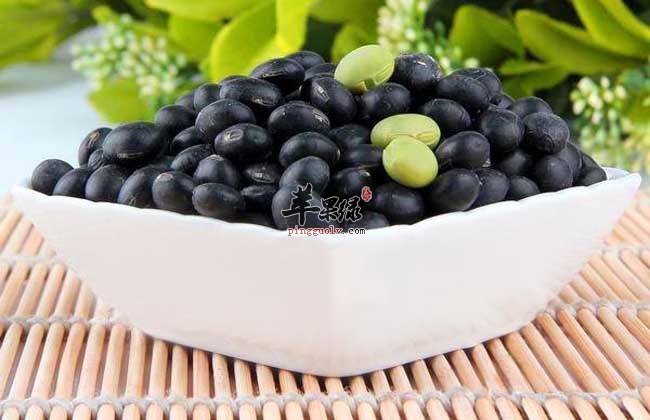 常吃黑豆很养生 推荐黑豆的吃法
