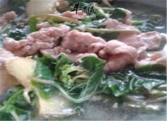 瘦肉马齿苋汤——清热利湿消炎杀菌
