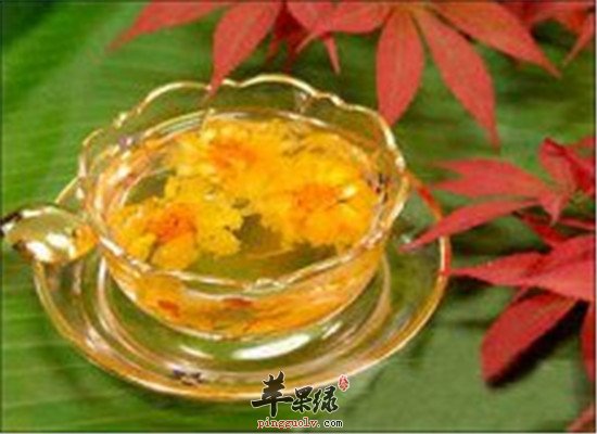 何首乌菊花酒--益肾补血乌须发