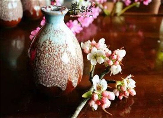 桃花白芷酒的功效和配方 苹果绿