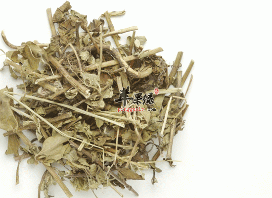 茵陈食用方法 凉拌茵陈口感美妙