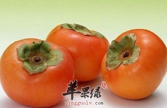 立冬节气前后可以经常吃一些柿子