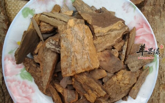 樟树皮的功用与治病选方介绍