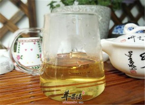 金银花茉莉茶--去火气清热防感冒