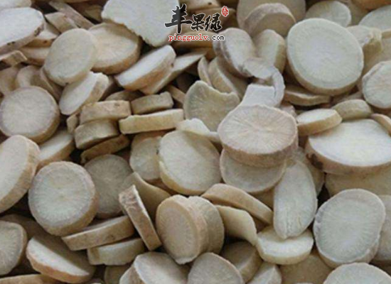 走马胎,小霸王,岩 石榴,水银茶,土 沉香,红人太岁,红刮筋板,是 大戟科