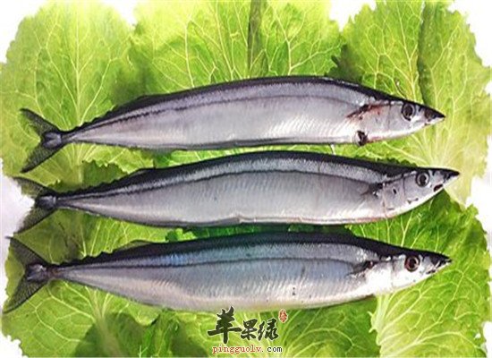 秋刀鱼的营养成分和好处