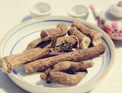 紫草茸可以和哪些药材搭配