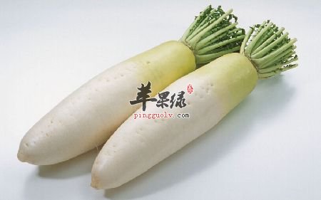 冬季要多吃白色食物 这几款能养生