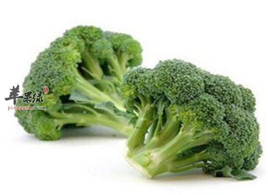 吃花椰菜的三大好处减肥消肿防便秘 苹果绿