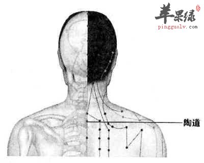 陶道穴的具体位置 按摩效果很不错