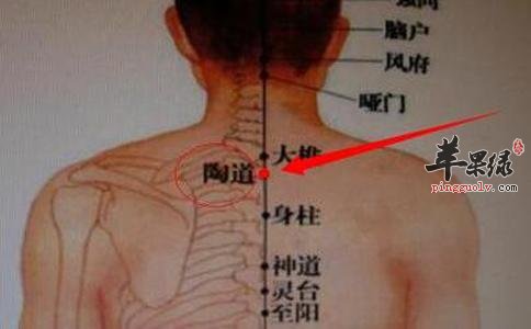 陶道穴的具体位置 按摩效果很不错