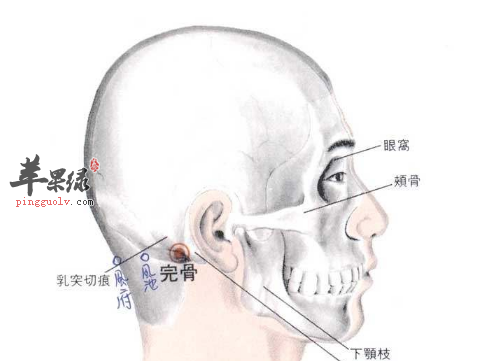 完骨穴疼痛怎么办 教你方法解决问题