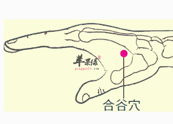 合谷穴有哪些保健用途呢