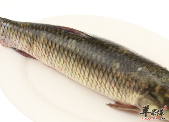 青鱼怎么做美味 试试这两种做法