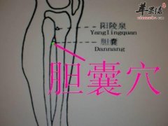 胆囊穴位位置图 胆囊穴的功效与作用 按摩手法 苹果绿