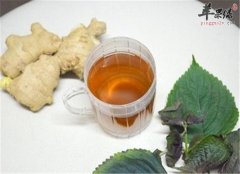 紫苏生姜茶--预防感冒疏散风寒