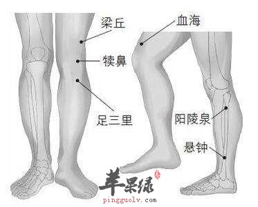 通过按摩犊鼻穴能治疗关节疾病