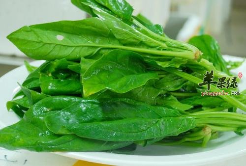 菠菜和芥菜适合冬季食用