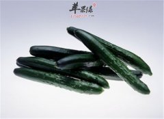 原来平民黄瓜居然有那么多好处