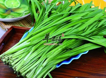 冬季很适合进补 推荐冬季饮食