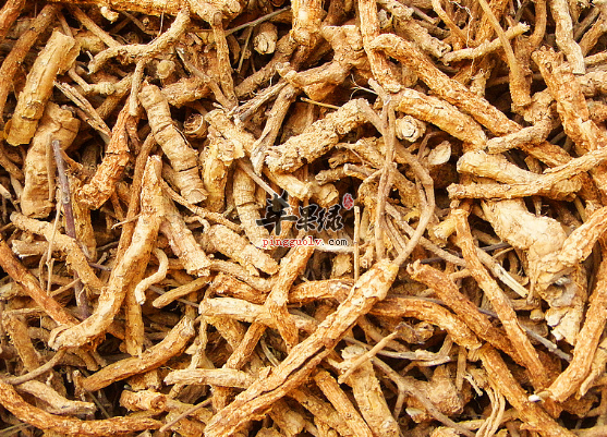 鸡骨香的药理用途具体介绍