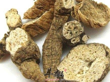 南沙参的副作用 小心服用的细节