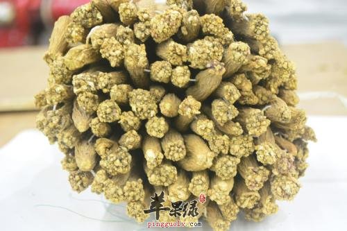 银柴胡的功效 能帮助治病