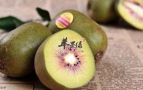 维生素C含量高的食物