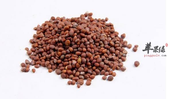 莱菔子的治病养生效果好