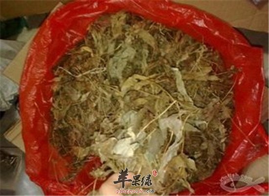 鸭掌草是什么 有什么食用价值