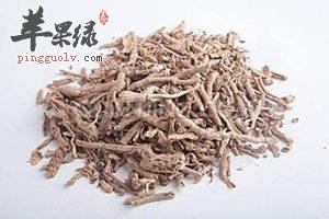 介绍一下地骨皮的食疗方