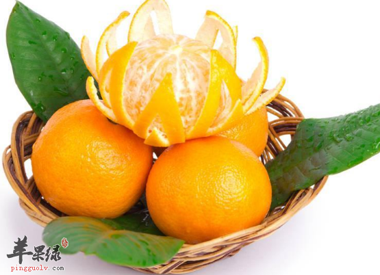 柑橘的保健食疗吃法介绍