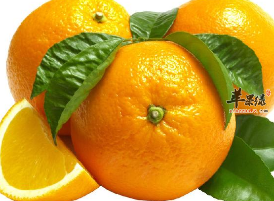 关于柑橘的五大保健功用讲解