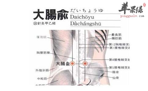 帮你找到大肠俞穴 按摩能促进健康