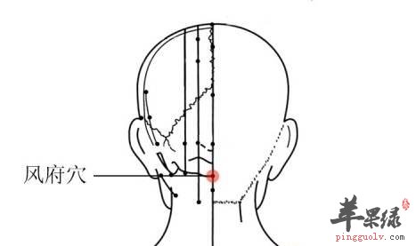 风府穴的作用 按摩风府穴有好处